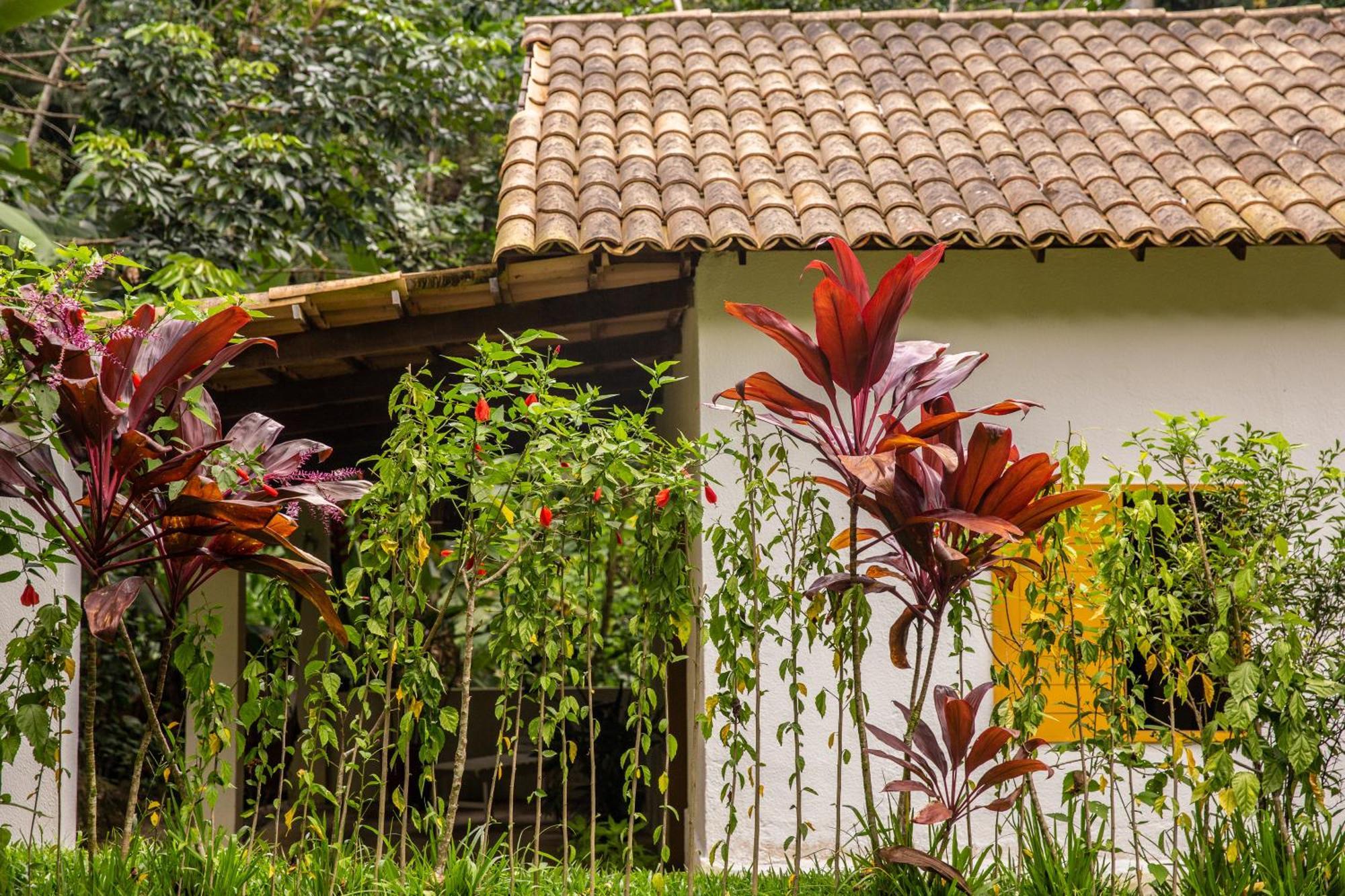 Casa Ryokan กวารามีรันกา ภายนอก รูปภาพ
